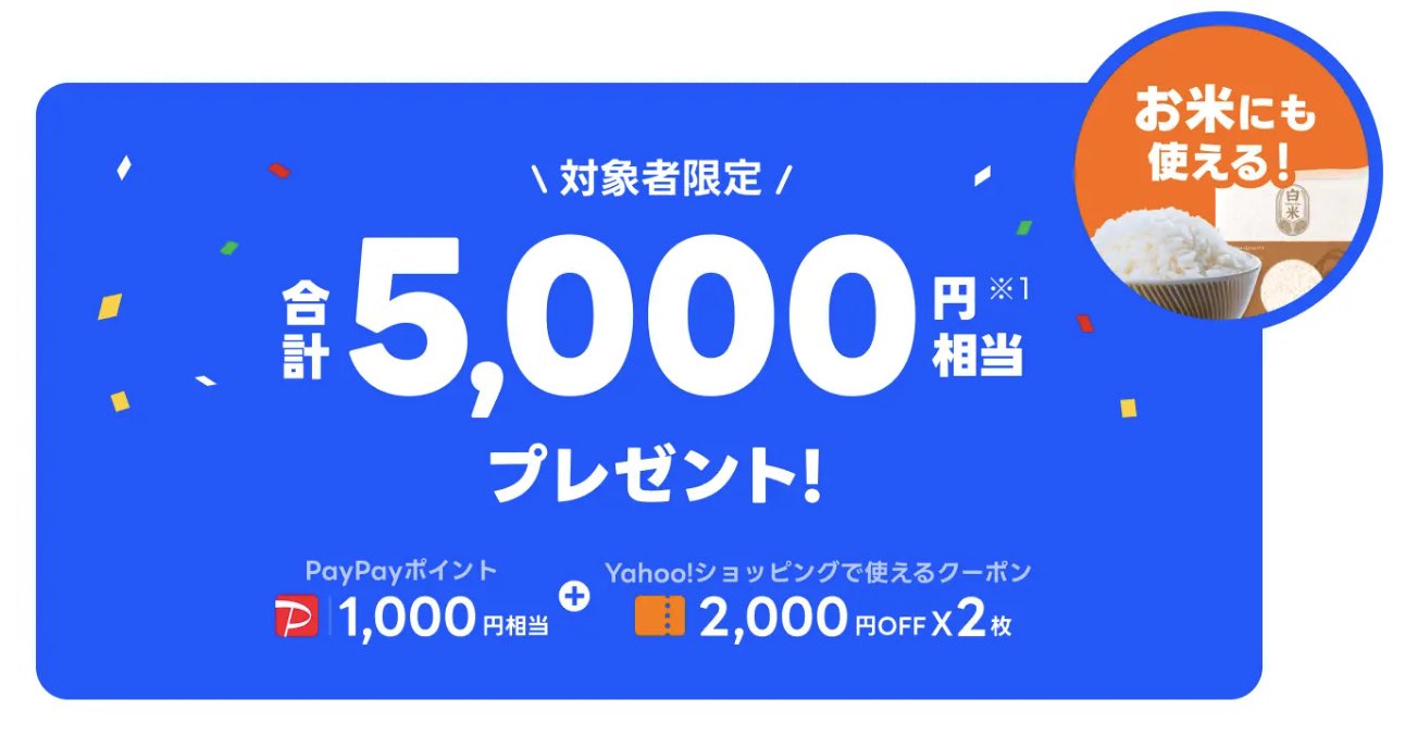 LYPプレミアム会員とはどのようなサービスなのか